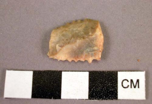 Fragment of serrated flint point