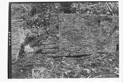 Front bottom half of Stela 10