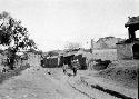 Pack animal being led on road out of village