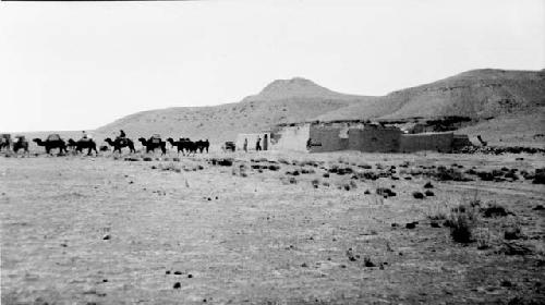 Camels riding out from a building in desert