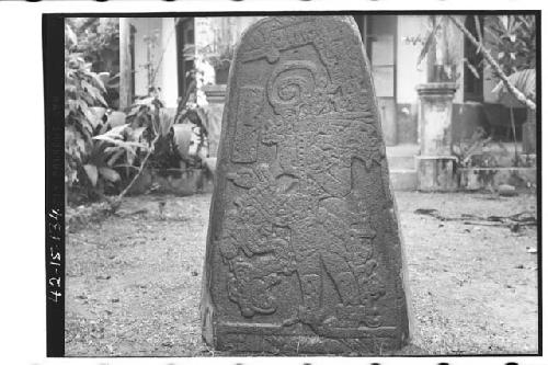 Stela carved in style of Tuxtla Chica. height 1.31cm from present floor level