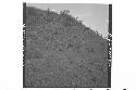 Panorama of east side of mound above basal platform, from about center of east s