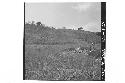 360 degree broken panorama of La Sabana and surrounding country; From Mound 2