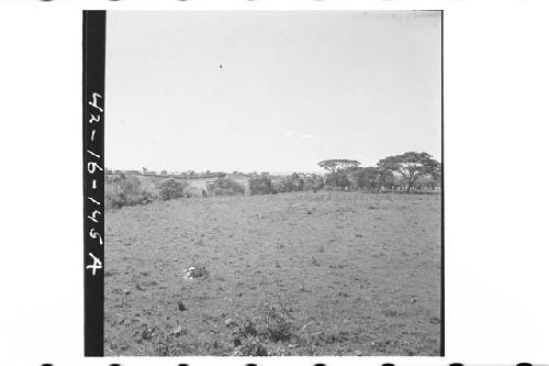 Mounds 6-12 from top of Mound 4 looking SE to SW. Panorama.