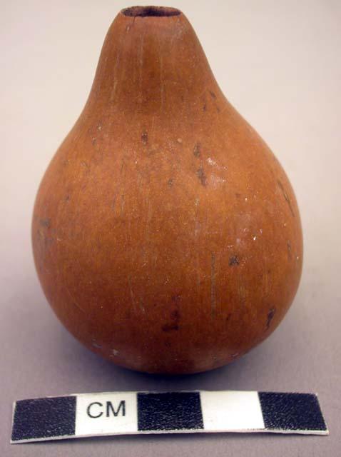 Gourd container for paint used in big fiestas