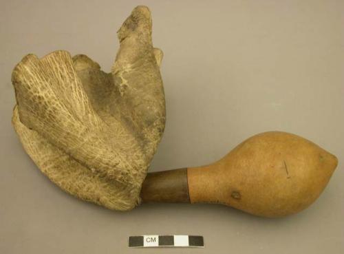 Lime gourd with leather funnel