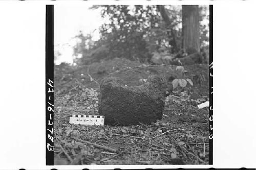 Fragmentary roof drain(?) stone found near surface