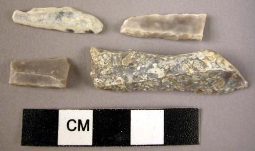 5 flint backed blades and bladelets and fragments