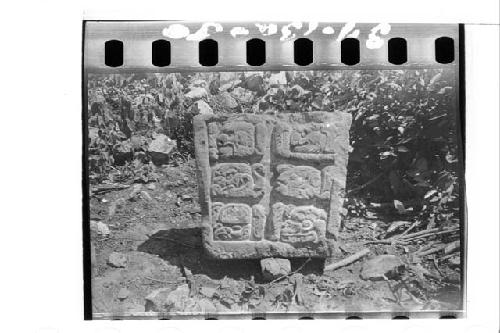 Stela found in debris back of structure 32