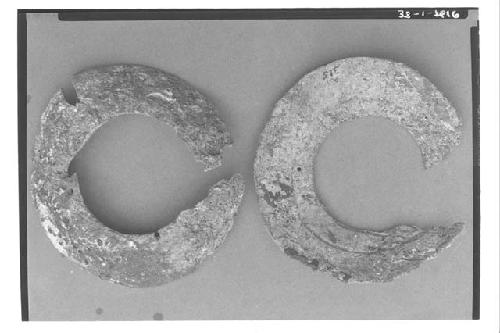 2 shell gorgets A-1-315 field # T.II 36