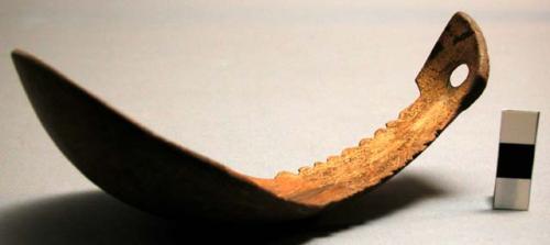 Sago spoon of cocoa nut shell