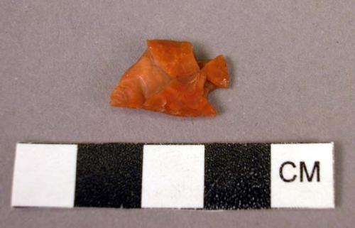 Point (?) fragment of chert