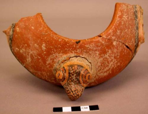 194 potsherds - Nispero variety