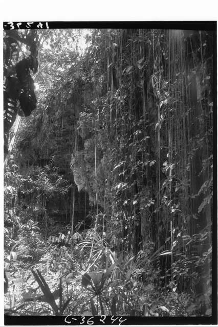 Thompson's cenote