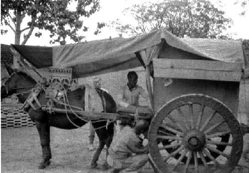 Men with covered horse drawn cart