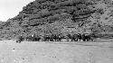 Camels in front of mountain