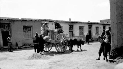 Ox pulling cart in road