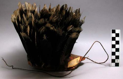 Piece of gourd studded with jalmaik feathers. men's dance and battle +