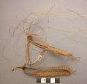 Pandanus leaf fibre legbands (shemgwes"). Worn by women. One half +