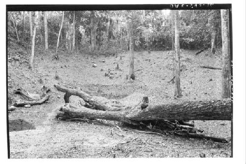 Looking E. at E. side of large resevoir W. of B-Group