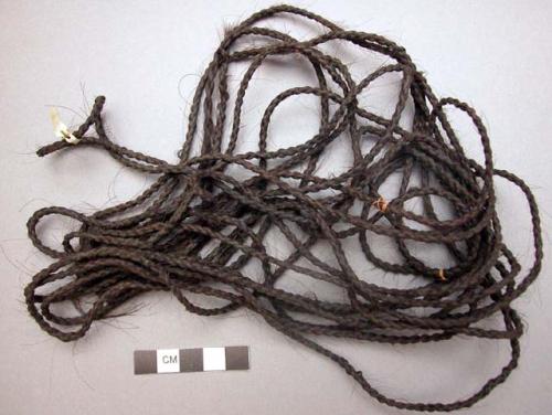 Cord of braided human hair – Objects – eMuseum