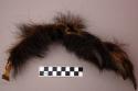 Bear paw, with claws, hair, fish skin tie