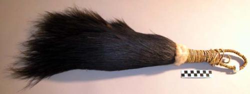 Cassowary feather whisk (sue lake) for battle and dance