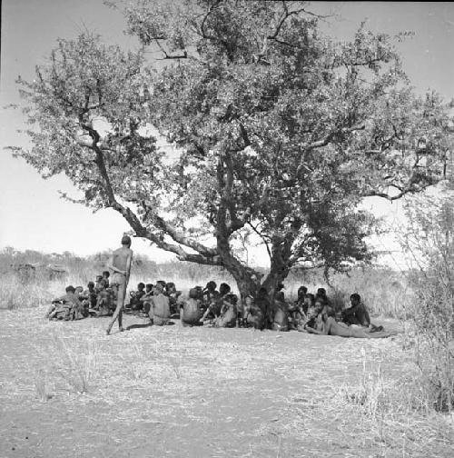 Group of people sitting under a tree, resting from a dance