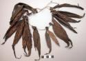 Neck piece of cocoons used as lure for women and matted spider web
