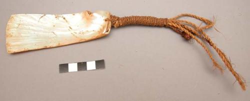 Shell money - fragment of shell with rope handle