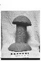 Hard grey igneous stone carved into a phallus or mushroom