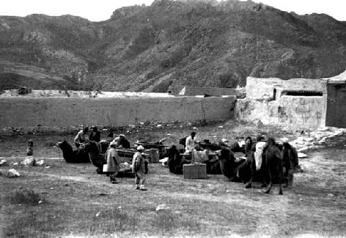 Bactrian camels and porters(?) outside walled structure