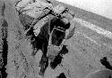 Packhorse with feedbag laden with supplies on dirt road