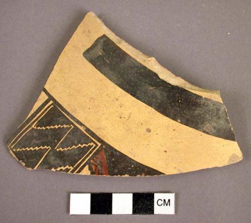 Sherd, Jeddito b/y & Sikyatki polychrome