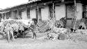 Donkeys with packs outside building