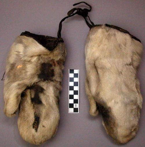 Pair of mittens