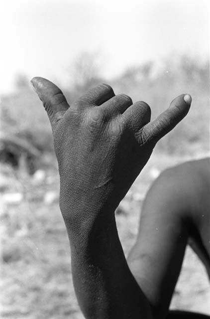 Person demonstrating the hunting hand signal for wildebeest