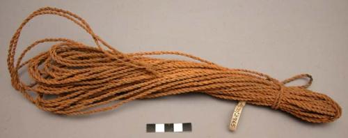 Cocoanut cord (auw)