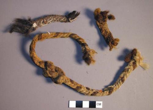 Braid, camelid, fragment