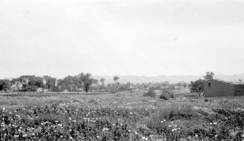 Building in field with flowers