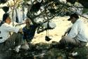 Gordon Willey seated with 2 unidentified men under a tree