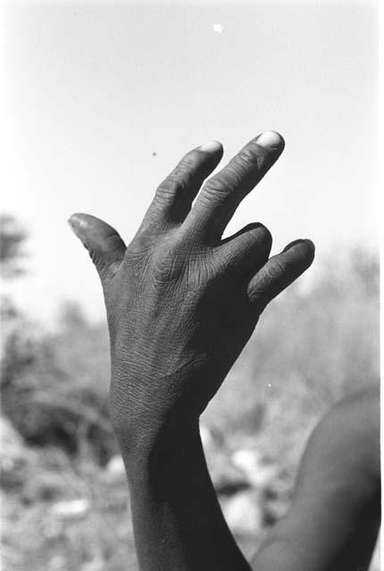 Person demonstrating the hunting hand signal for kudu, with the fingers bent a little to indicate the bend of the kudu's horns