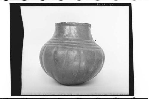 Plumbate standard jar, gardooned