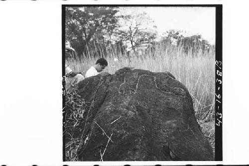 3 views of upper pictograph on large boulder.  Possibly so-called "leon de piedr