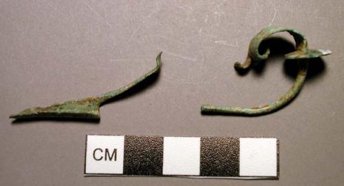 Fibula, serpentine