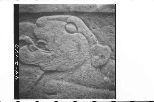 Stela 1, front- detail of Jaguar head at bottom