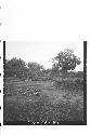 Panorama of N. side of Mound 1 complex, end of 1944 season.  Looking S.