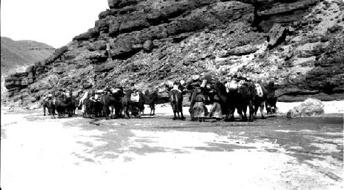 People and camels by mountain