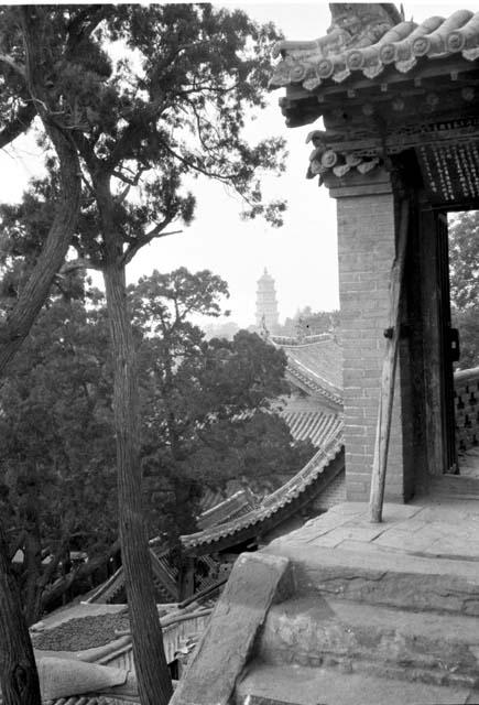 View of distant pagoda from temple