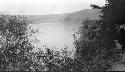 View of lake through trees